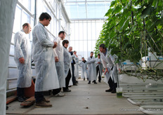 Paden van 1.60 m en 1.80 m