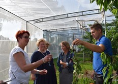 De kersen smaken heerlijk