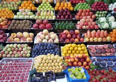 Steenfruit, mango's, avocado's, hardfruit, vollegrondsgroenten - je vindt het hier.