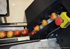 Greefa's SmartPackr2: Stap 1: aanvoer van gesorteerde appelen