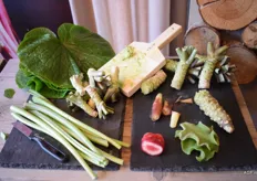 Een aantal producten waar Meesterchef Niels over vertelt en laat proeven, Japanse en Nederlandse wasabiwortel en bijproducten (bladeren, stengel), myoga gember, ijskruidsla