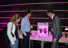 Ann-Katrin Beuel (Fraunhofer IME) en Kamyar Osgoei (Oskoo) krijgen uitleg van Alexander Wilm van Osram Opto Semiconductors.