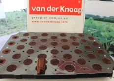 nieuw: de Fibereneth voor aardbeien van Van der Knaap, uitontwikkeld en klaar voor het volgende aardbeienseizoen.
