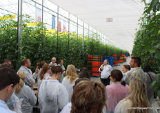 In de kas wordt zonder belichting geteeld.