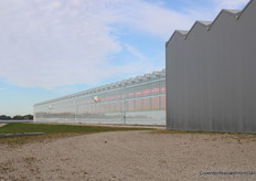 Hé, LED-belichting bij JEM Farms.