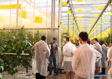 Ook hier kwam de vraag over stengeldichtheid voorbij: 3 per meter.