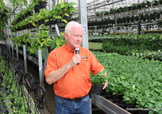 Er zijn veel tropische planten te vinden, waaronder ook deze koffieplant.