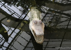 Een deel van het bedrijf is ingericht voor entertainment.