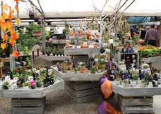 Colasanti's Tropical Gardens fungeert ook als tuincentrum.