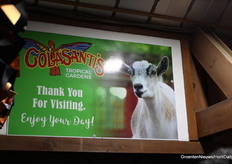 Ondanks alle tropische dieren blijken de geiten de grootste publiekstrekker.