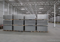 Op 13 acres gaat men werken met meer dan 5000 tafels of containers. Als de volledige 44 acres er in de toekomst staan, loopt dat aantal op tot meer dan 20.000 containers.