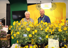 Sunfinity Double Yellow bij Syngenta Flowers