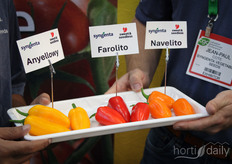 De snackpaprika’s van Syngenta waren een populaire gezonde beurssnack.