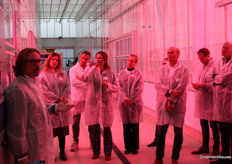 De techniek van CE-Line draait in een proef in gerbera.