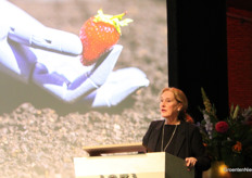 Arbeid, nog een uitdaging voor aardbeientelers.