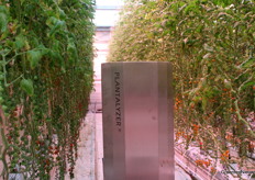 Plantalyzer, present. Het systeem van HortiKey uit De Lier zorgt voor een accurate oogstvoorspelling.