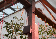 Als je erop ging letten, zag je overal sensoren en technieken die data verzamelen, of met elkaar verbinden.