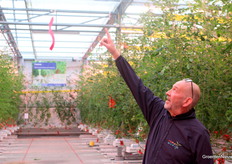 Nee, Nico wijst hier niet het lintje van de drone aan, maar de schermdoeken waarmee de kas is uitgerust. 