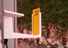 Goed kijken, dan zie je een vliegje. Het systeem Trap-ID telt, en weet welke beestjes er vastgeplakt zitten.