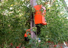 De 'ogen' van Gearbox kijken ook mee in de kas.