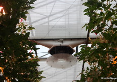 Om steeds meer gesloten, en daarmee energiezuiniger, te kunnen telen wordt ventilatie steeds belangrijker. 