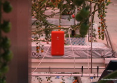 Sensordata verzamelen uit de wortelzone, met de CARA MET-sensoren van SenseNL. 