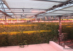 Vanuit het Datalab kijk je over de kas uit.