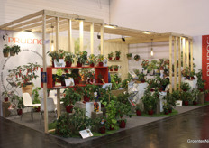 Prudac levert onder meer tomatenrassen die goed geschikt zijn voor teelt in vertical farms.