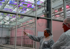 Deze kas wordt straks weer gebruikt voor een proef met het systeem van Voltiris. Er gaat vanaf juni getest worden met een aardbeienteelt. 