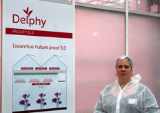 In deze proef met lisianthus was het flink puzzelen om de juiste opstelling met ventilatoren te maken, zodat het probleem met brandkoppen getackeld kan worden.