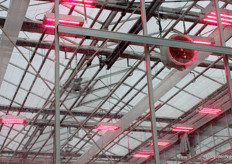 De kas met daarin een lisianthusteelt hangt vol technieken voor luchtbeweging, om vocht kwijt te raken.