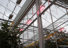 Hier is duidelijk het te zien dat er twee teelten worden vergeleken: tijdens de uitleg gaan in een deel van de kas de lampen uit. Waar niet dynamisch wordt belicht, blijven de lampen branden.