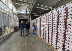 De bekende Hoogstraten-aardbeiendozen vielen bij het internationale publiek in de smaak. "I like them. In the US we all have packaging on our own."