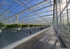 Blauwe luchten en zon. Goed aardbeienweer, al zaten de telers niet per se op 25+ graden Celsius te wachten. De onverwachte zomerhitte was gelukkig voor de telers van korte duur.