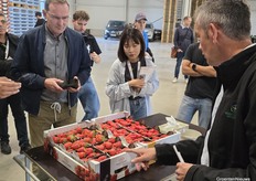 Links Elsanta, rechts Karima, legt Dirk Vermeiren uit bij de pas geoogste aardbeien van Gestelberries. De voorlichter van Proefcentrum Hoogstraten laat zien dat de extreme hitte deze zomer de vruchtvorm van Elsanta wat heeft aangetast. Met de smaak zit het wel goed, zo blijkt tijdens het proeven.