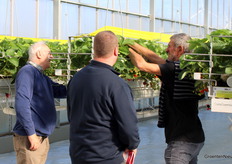 Anders dan in de glasgroenteteelt is het in de aardbeienteelt nog wel mogelijk voor bezoekers om dichtbij de plant te komen.
