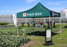 Traditioneel was een bezoekje aan de demovelden van onder meer Takii Seed goed te combineren met de zaadtechniekbeurs in het kassencomplex van Vertify,
