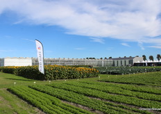 In vergelijking met de natte editie van 2024 was het de afgelopen dagen een stuk beter met blauwe luchten, zon, en een wel fris windje.