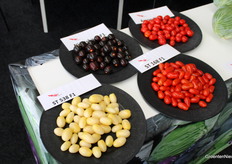 Snacktomaten in alle kleuren, inmiddels een beurstraditie bij Wing Seed