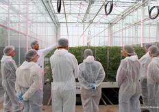 Rik Clymans van het Proefstation voor de Groenteteelt toont de proef met het teeltconcept Tom 4.0.