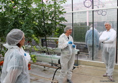 Leonie Hogendonk (De Ruiter) gaat al even mee in het vak en grijpt na een vraag over energiezuinige tomatenrassen terug op haar ervaring uit het verleden. Ja, het is belangrijk, maar telers willen uiteindelijk toch liever met een beetje extra energie die extra kilo's oogsten in de praktijk.