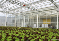 Zoek de Corvus-drone boven de sla