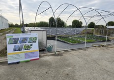 Ook buiten werden proeven bezocht. Hortivec is op serreteelten en open teelten gericht.