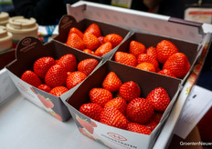 Daar is-ie dan, de Baya Solara