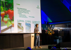 Stef Laurijsen van Proefcentrum Hoogstraten over energiebesparing in vroege aardbeienproductie
