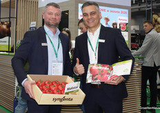 Gabriel Chojnacki en Tomasz Górski (Syngenta) met het roze tomatenras Malistar. Nog altijd het grootste deel van de tomatenteelten in Polen is gericht op roze rassen, waarbij telers soms resistente rassen telen, maar soms ook nog de voorkeur geven aan rassen zonder resistentie. Malistar is een ToBRFV-resistent roze tomatenras.