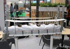 Steeds meer teelten gaan ook in Polen uit de grond, naar substraat, bijvoorbeeld een kokossubstraat geleverd door Royal Brinkman.