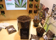 San Top, Mulch van Boekweit, Ceres International