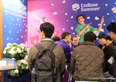 Erg veel interesse bij Endless Summer