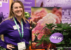 Nu nog niet in bloei maar wel een hele mooie nieuwe variëteit. Amanda Flint, Endless Summer naast de Spring Sizzle Hortensia